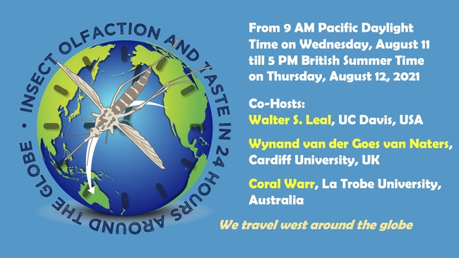 The free international symposium,  “Insect Olfaction and Taste in 24 Hours Around the Globe,” begins at 9 a.m, Pacific Daylight Time (PDT), Wednesday, Aug. 11.