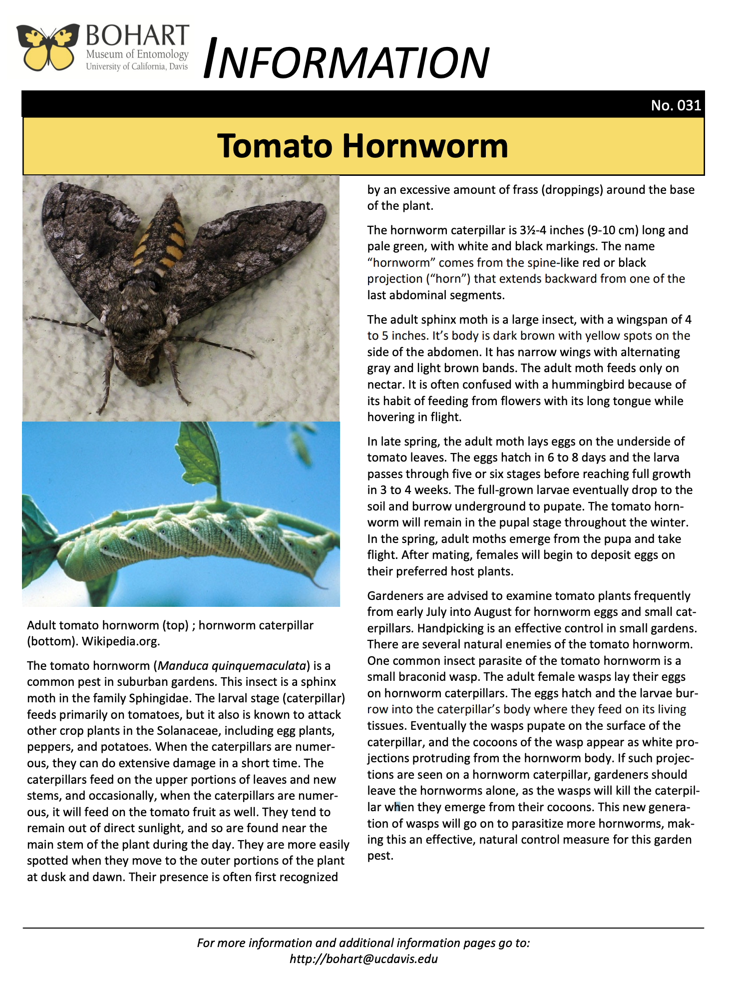 Moth trap - Wikipedia