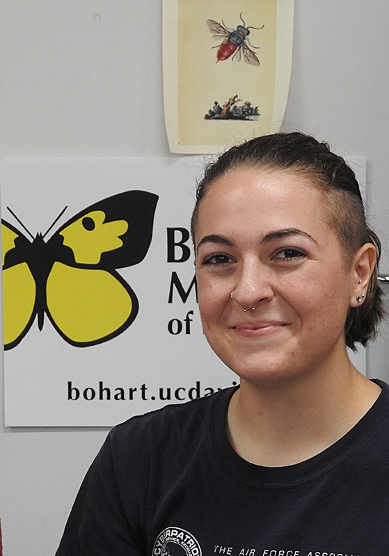 Bohart Museum student lab assistant Amberly Hackmann said of the cicadas: 