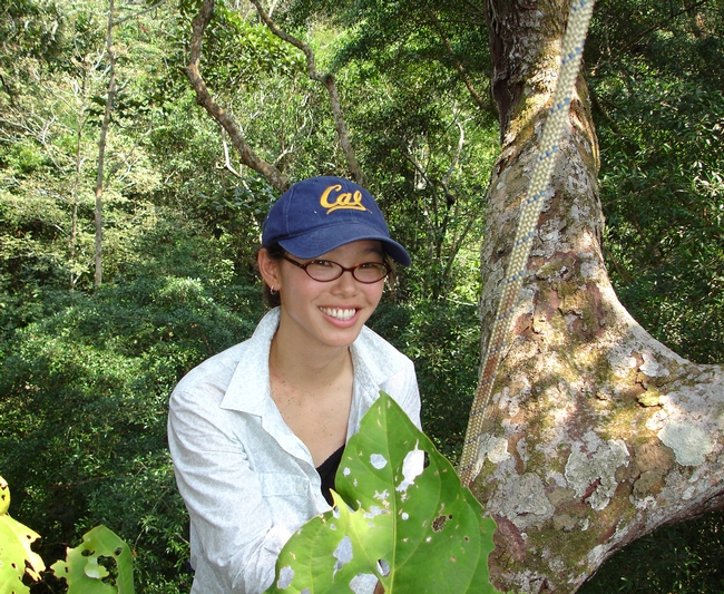 Jacklyn Wong in a canopy just outside of Iquitos, Peru. (Photo by Stephen Yanoviak)