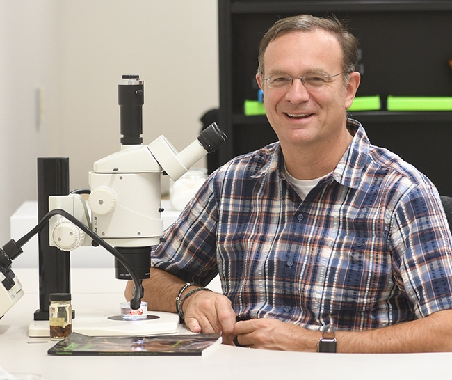 Jason Bond,professor of entomology and the Evert and Marion Schlinger endowed chair in insect systematics, UC Davis Department of Entomology and Nematology, is a newly selected co-editor-in-chief of the journal Insect Systematics and Diversity (ISD), published by the Entomological Society of America (ESA). (Photo by Kathy Keatley Garvey)