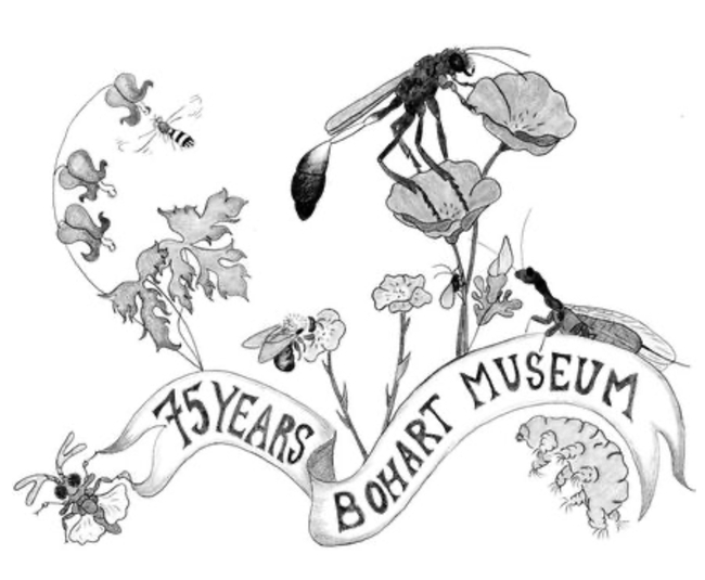Art work by Christine Melvin, an associate at the Bohart Museum of Entomology. Can you identify the flora and fauna?