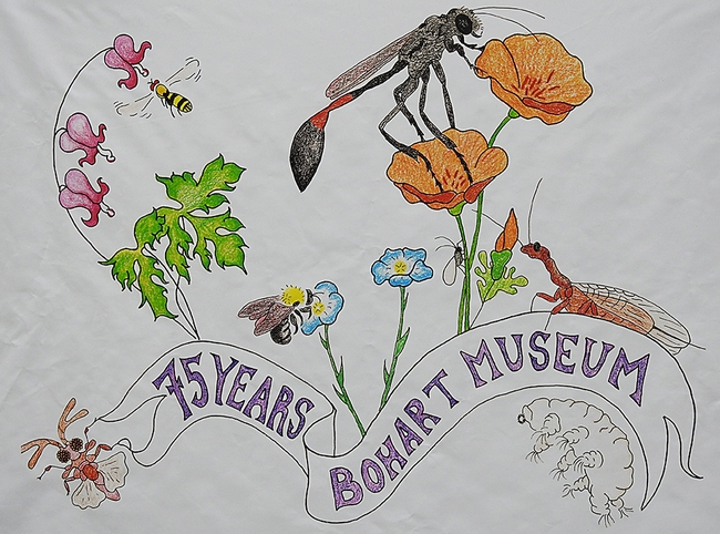 Christine Melvin's art work, transformed into a banner for the Bohart Museum of Entomology's 75th anniversary,  features a hover fly, sphecid wasp, snake fly, bumble bee, aphid, twisted wing parasite and a tardigrade (water bear).