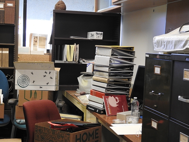 This was part of Extension apiculturist emeritus Eric Mussen's office, ready to be moved. (Photo by Kathy Keatley Garvey)