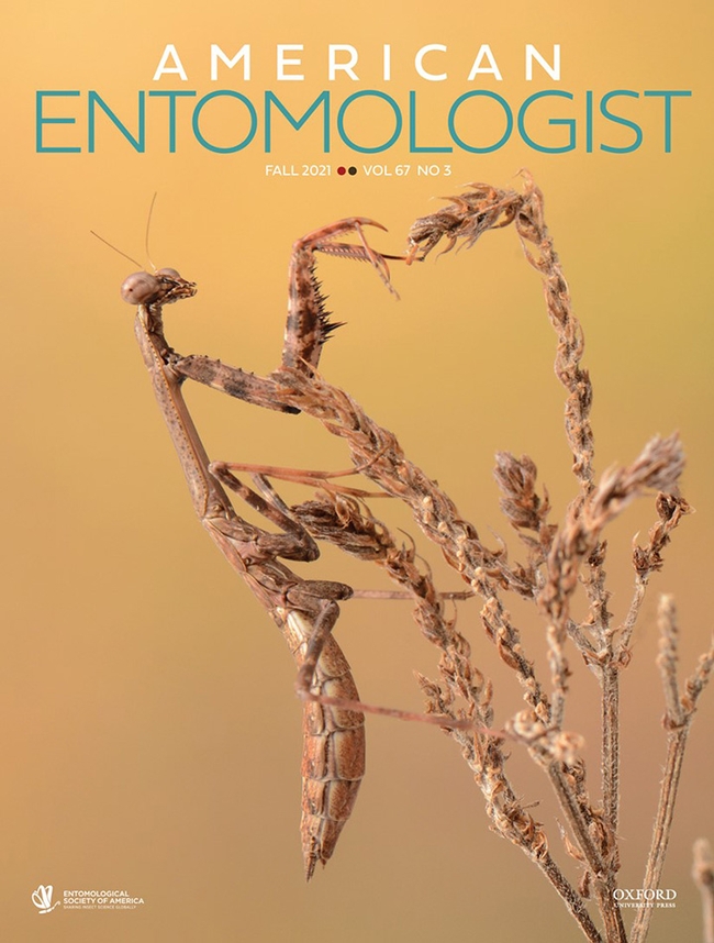 Ian Wright took this image that appears on the cover of the fall edition of American Entomologist.