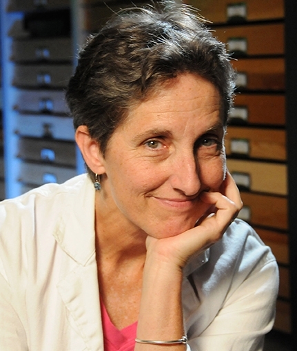 Lynn Kimsey, director of the Bohart Museum of Entomology