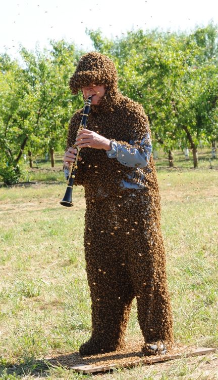 Norm Gary is both a professional bee wrangler and a musician. (Photo by Kathy Keatley Garvey)