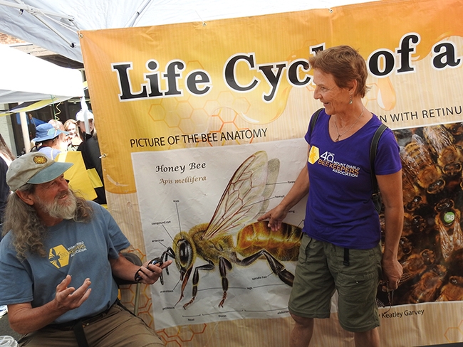 CAMBP members Peter Schumacher and his wife, Barbara, of San Ramon, chat in front of a bee poster. (Photo by Kathy Keatley Garvey)