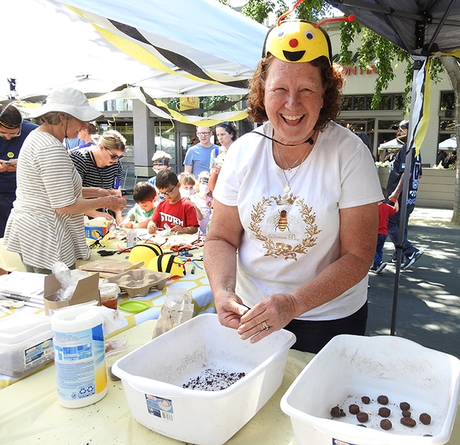 CAMBP member Angie Nowicki of Rohnert Park  kept busy crafting wildflower seed balls. (Photo by Kathy Keatley Garvey)