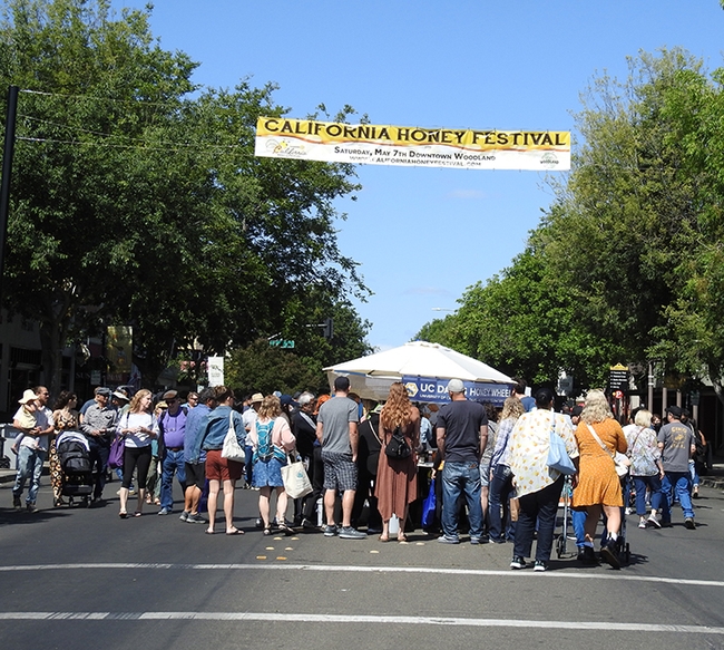 A crowd descends on the California Honey Festival, held last Saturday in downtown Woodland. (Photo by Kathy Keatley Garvey)
