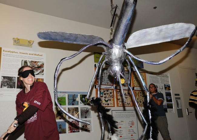 Whack! Tabatha Yang, the Bohart Museum's education and outreach coordinator, takes aim at a mosquito pinata. (Photo by Kathy Keatley Garvey)