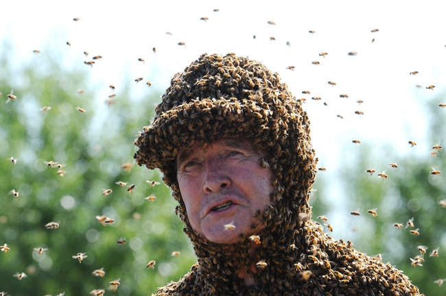 Apiculturist/bee wrangler Norman Gary, emeritus professor of entomology at UC Davis. (Photo by Kathy Keatley Garvey)