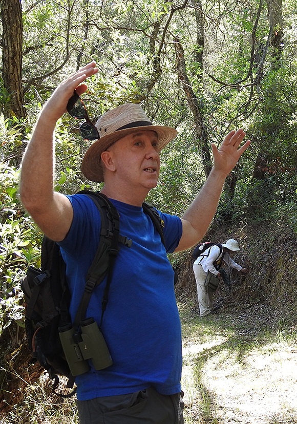 Naturalist Deren Ross exults at seeing a California dogface butterfly. (Photo by Kathy Keatley Garvey)