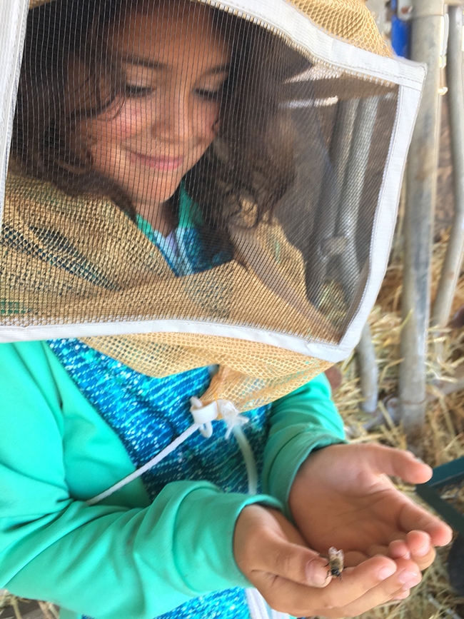Annabelle, a third-year 4-H beekeeper, checks out a drone. (Photo by Ettamarie Peterson)