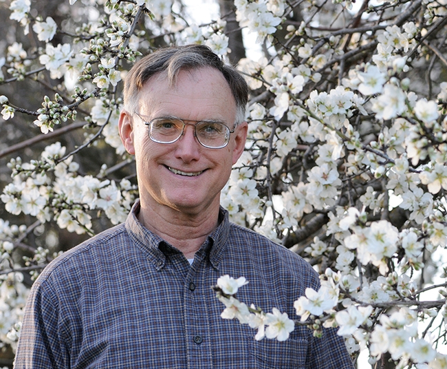 Extension apiculturist Eric Mussen (1944-2022), shown here next to a UC Davis almond tree, shared his expertise on honey bee health for decades with the Almond Board of California. (Photo by Kathy Keatley Garvey)