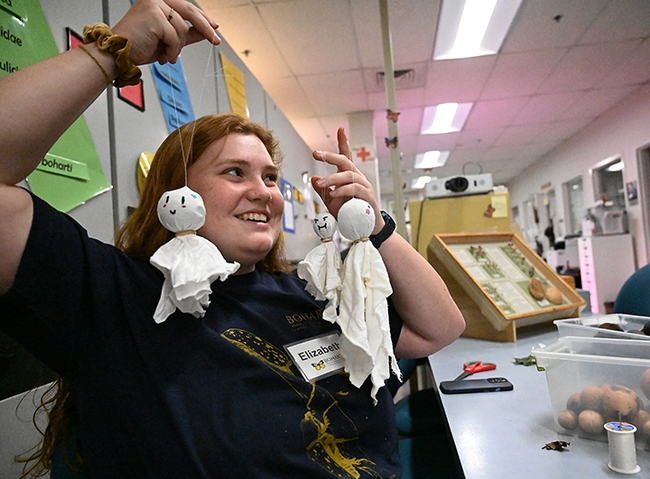 UC Davis student and Bohart volunteer Elizabeth Gromfin, who staffed the gall ghost table, holds a few of the ghosts she made. (Photo by Kathy Keatley Garvey)