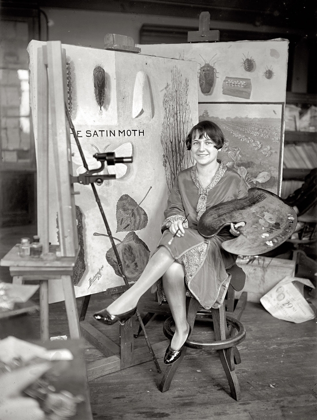 Mary Foley (later Mary Foley Benson) at work as a scientific illustrator with the USDA. This image was taken in 1926 when she was 21.