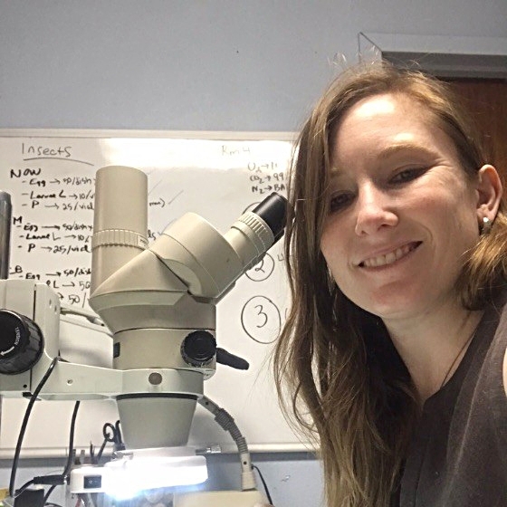 Doctoral student Addie Abrams won a second-place or runner-up in the ESA competition.
