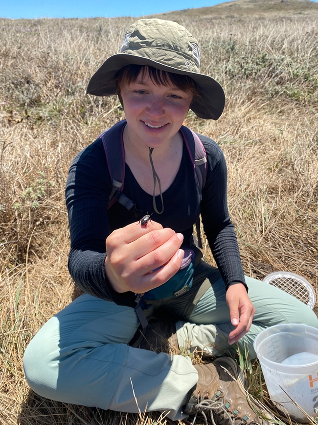 UC Davis doctoral candidate Tracie Hayes, an ecologist and an artist, with a burying beetle.