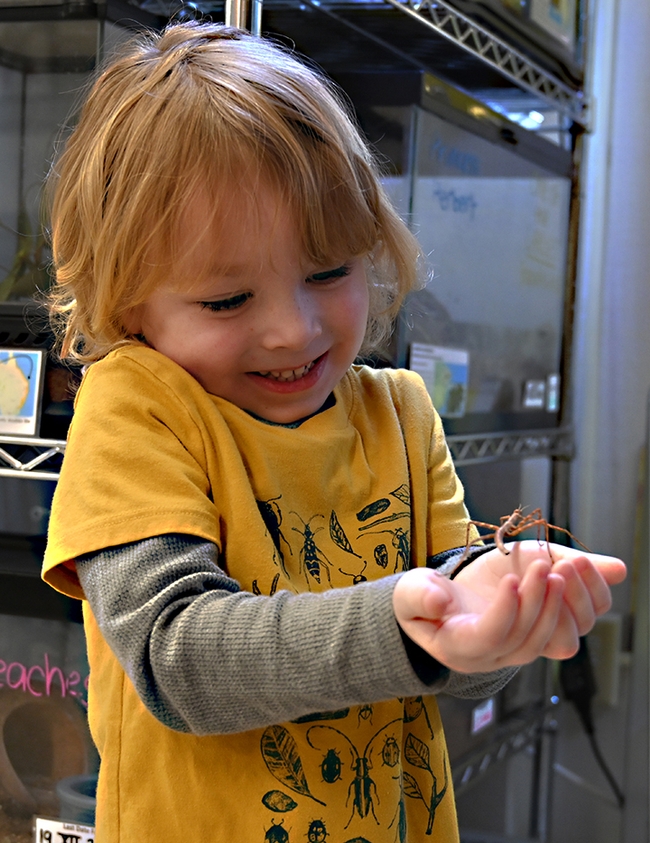 The expression on Teddy Marlatte's face says it all. He was celebrating his fourth birthday with a visit Jan. 12 to the Bohart Museum of Entomology. (Photo by Kathy Keatley Garvey)