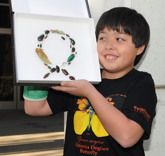 James Heydon, 10, of Davis, admires a “bug” wreath made by Tabatha Yang, education and outreach coordinator at the Bohart Museum of Entomology. (Photo by Kathy Keatley Garvey)