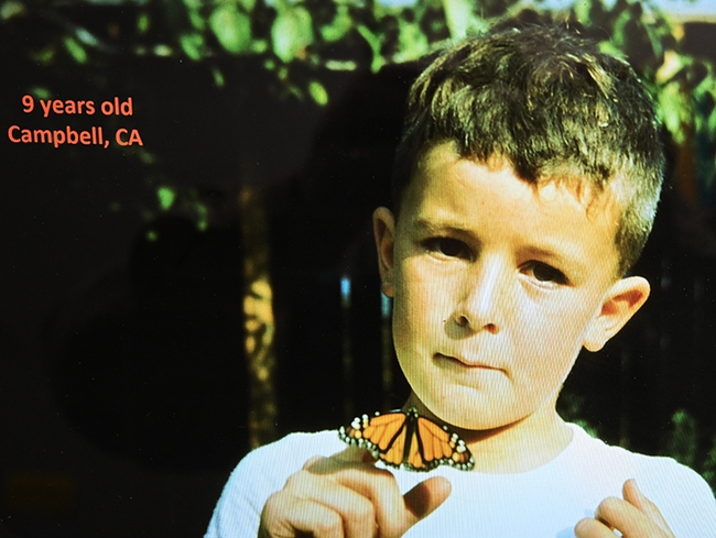 Jeff Smith, at age nine, loved monarch butterflies. He still does. He's the curator of the Lepidoptera collection at the Bohart Museum of Entomology.