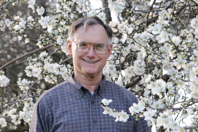 Noted honey bee expert, Extension apiculturist Eric Mussen of UC Davis, by an almond tree at the Harry H. Laidlaw Jr. Honey Bee Research Facility at UC Davis. (Photo by Kathy Keatley Garvey)