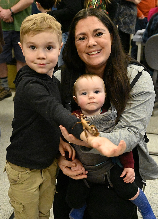 The Cross family of Dixon took an avid interest in this Australian walking stick. Colton, 4, is shown with his mother, Jordan, and brother, Tucker, 11 months. (Photo by Kathy Keatley Garvey)