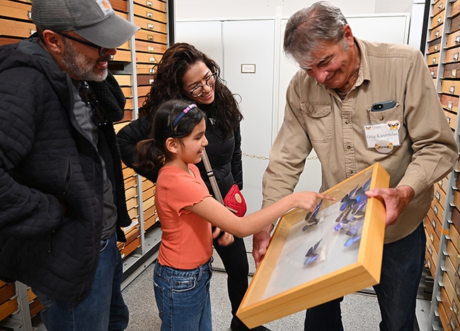Martha Leija and Mario Preciado and their daughter Valentina, 8, a family from Mexico City, check over the morpho butterflies. At right is Bohart associate Greg Kareofelas. (Photo by Kathy Keatley Garvey)