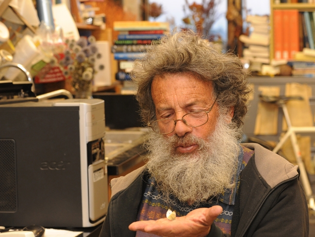 Professor Art Shapiro with his newly found cabbage white butterfly. (Photo by Kathy Keatley Garvey)