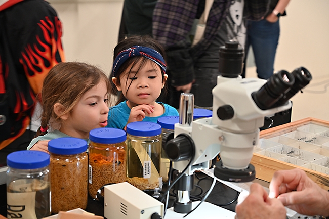 Friends Gwendolyn Nguyen (far right), and Luciana Luna, both 5 and from San Jose, check out the specimens. (Photo by Kathy Keatley Garvey)