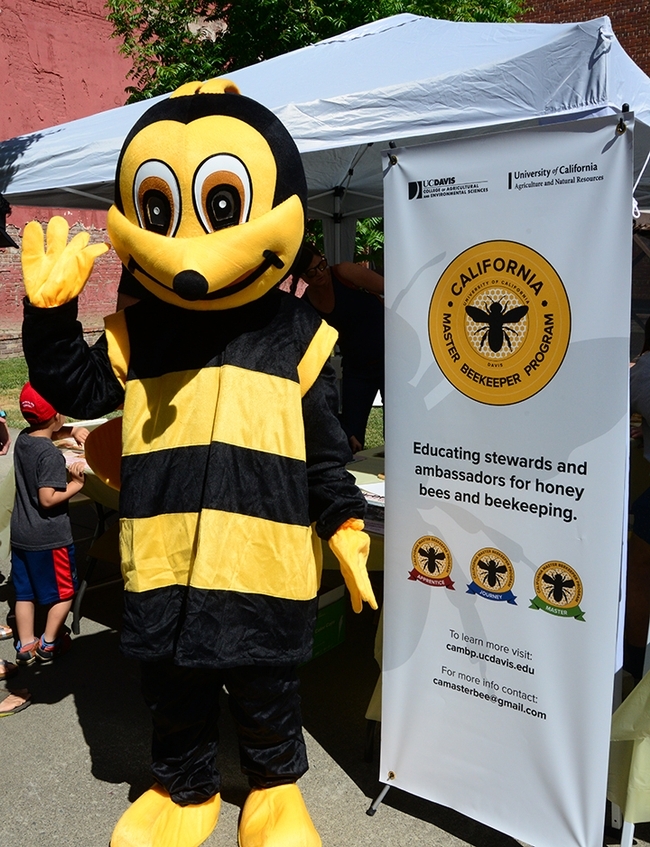 Wendy Mather, program manager of the California Master Beekeeper Program, waves to the California Honey Festival crowd. (Photo by Kathy Keatley Garvey)