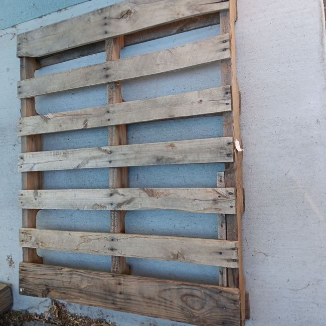 A wooden shipping pallet. (Photo: A. Collin)