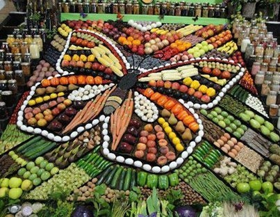 butterfly produce display