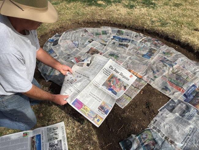 laying layers of newspaper