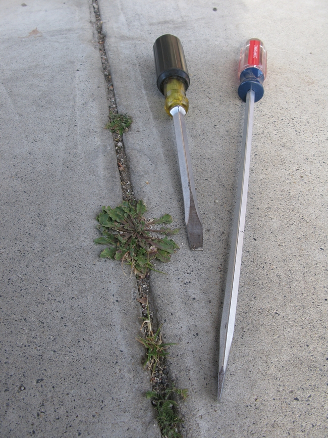 A Low-Cost way to Remove Weeds in Crevices