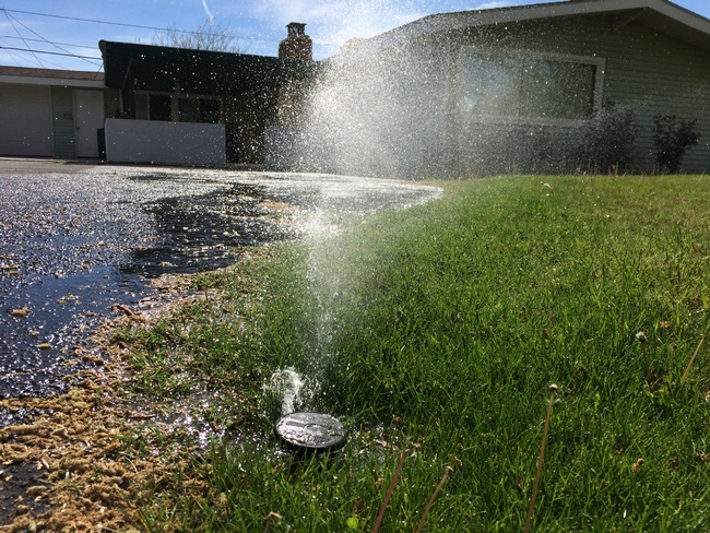 A sprinkler spraying a driveway with water.