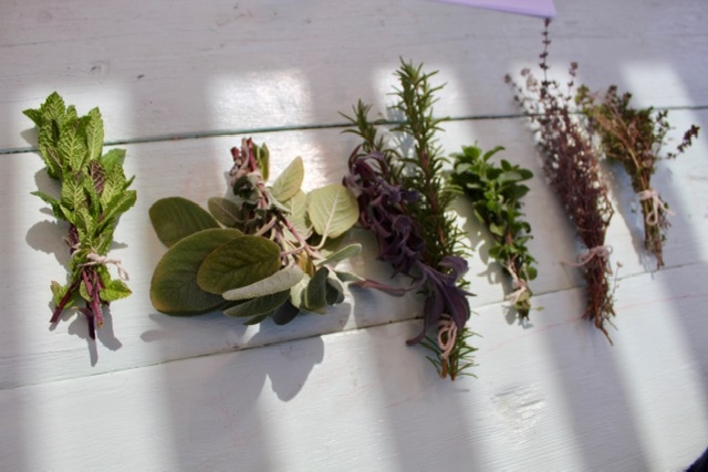 Some early herbs from Bonnie Kelley's garden