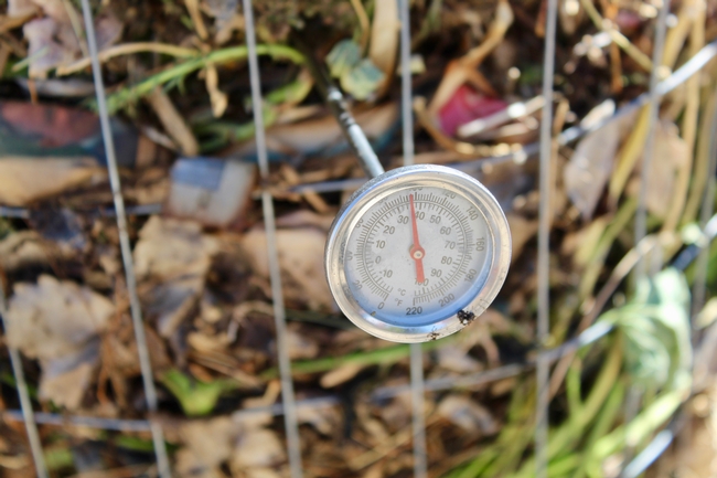 Hot temperatures kill weed seeds and some disease spores.