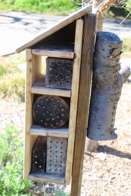 A small structure with holes for bees.