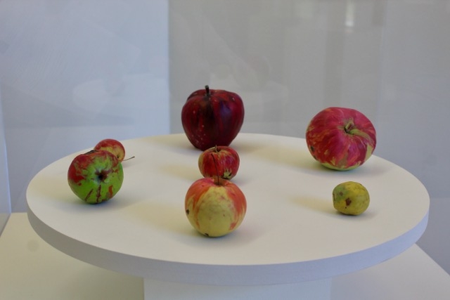 7 varied apples on a circular table.