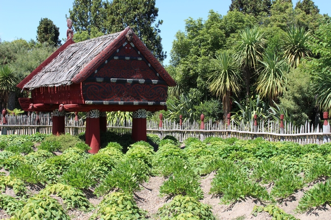 Te Parapara Garden with kumara mounds and pataka storehouse