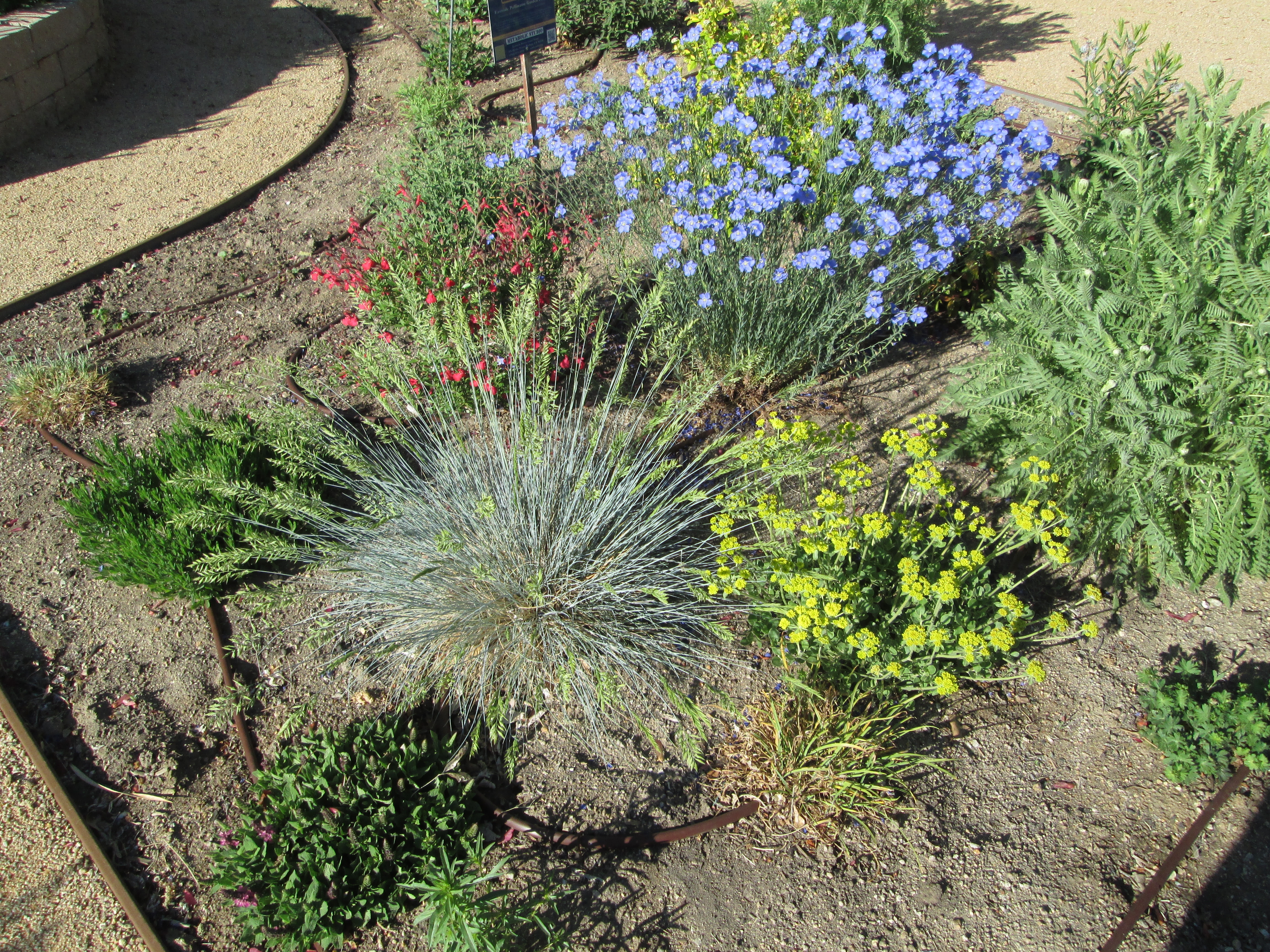 Spring Miniature Floral Arrangements Series - Part 1 - Riverside County  Master Gardeners - ANR Blogs