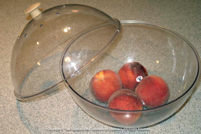 Peaches in a ripening bowl