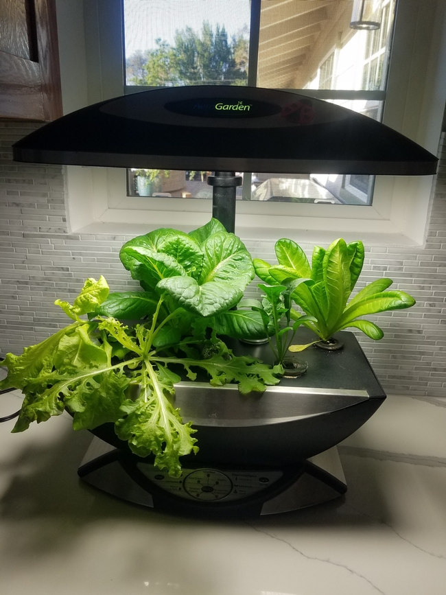 Small hydropoic system suitable for micro greens