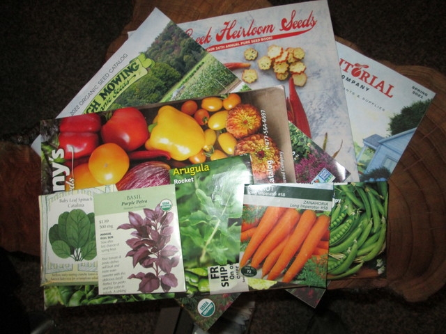 A pile of seed catalogs and seed packets.