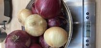 Weigh Onions for The Backyard Gardener Blog