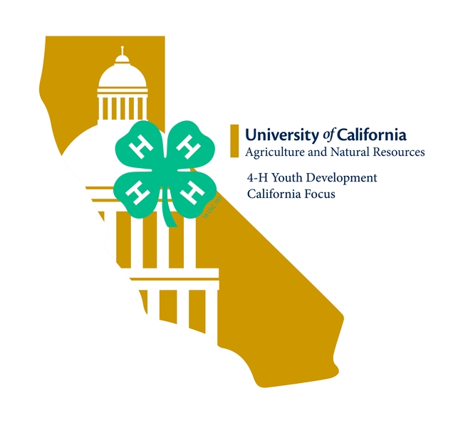 California Focus logo
