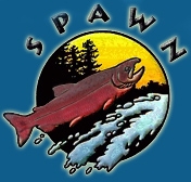 SPAWN logo color
