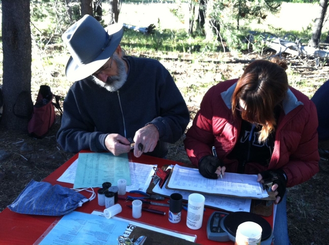 Sagehen Field Station Naturalists learn about bird banding